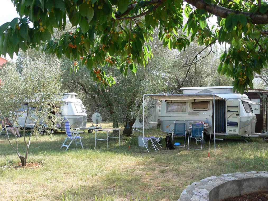 2 ème camping. erreur de timing, il manquait une petite semaine pour les cerises !!!