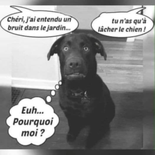 IMG_9350.jpeg
