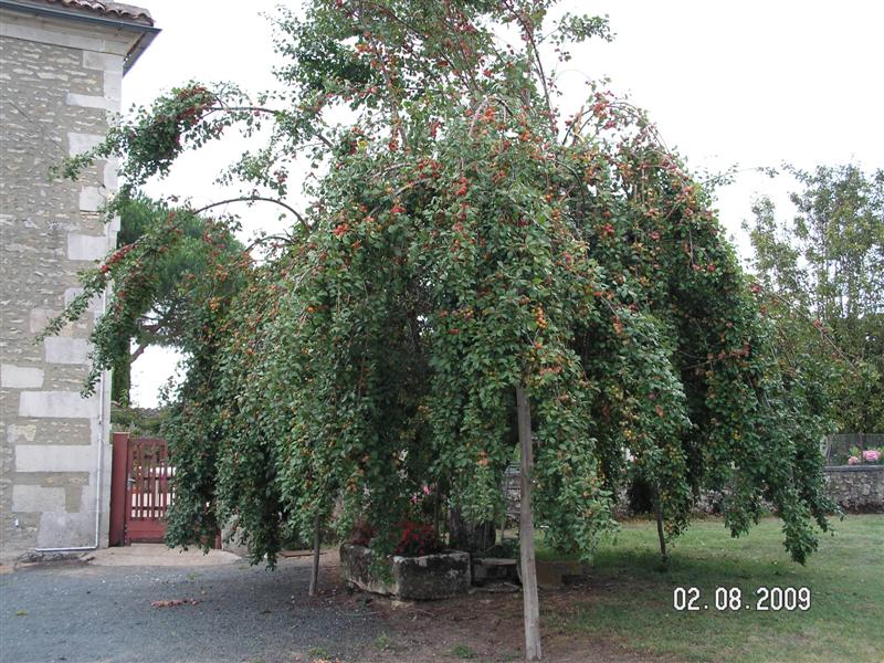 PICT0051 (Medium).JPG
