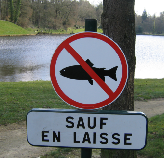 poisson.png