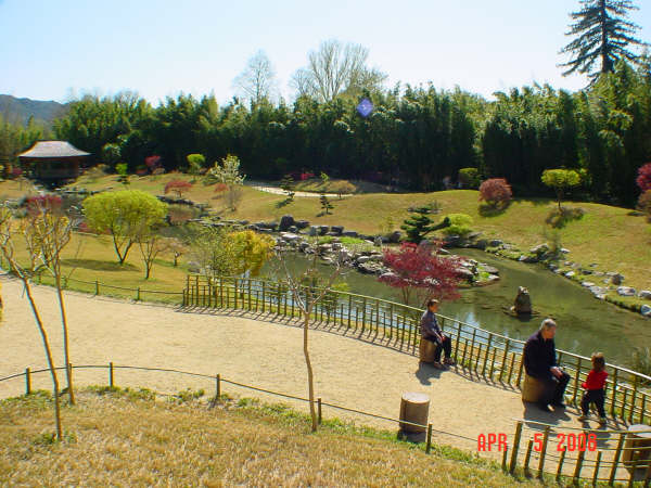DSC09071.JPG