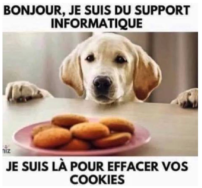 support.jpg