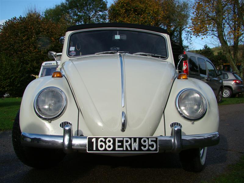 DSC06895 (Medium).JPG