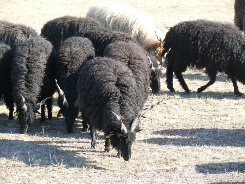 Image_01.jpg