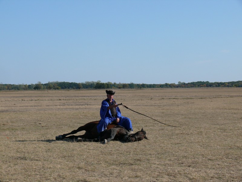 Image_06.jpg