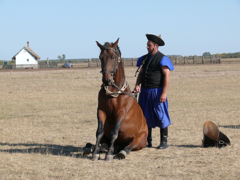 Image_07.jpg