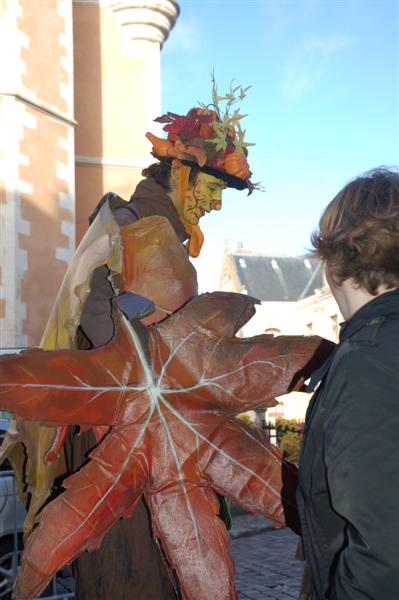 DSC_1644 (Medium).JPG