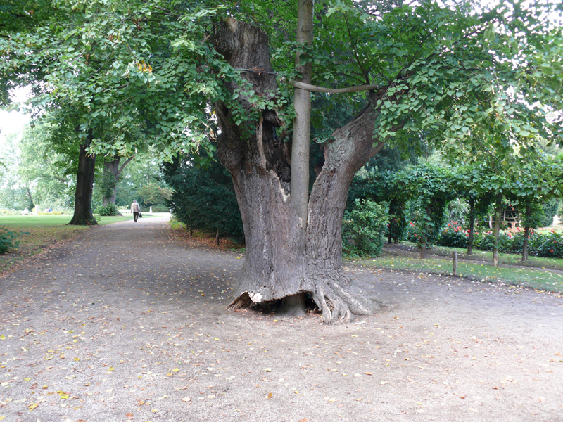 Ile aux paons_16.jpg