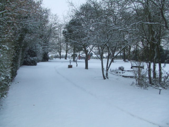 DSCF2524.JPG