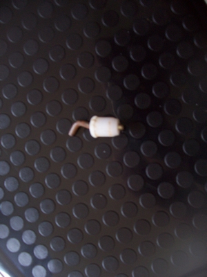 100_2729.JPG