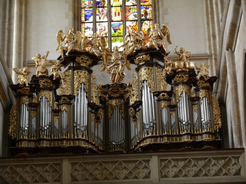 5Cathédrale_04.jpg