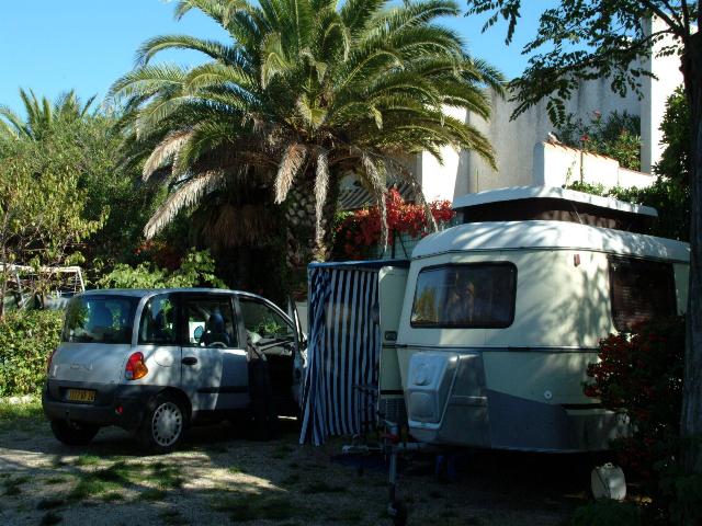 FAM 05.JPG