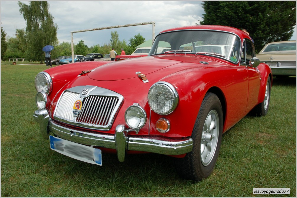 DSC_5563-1 [1000X750].JPG