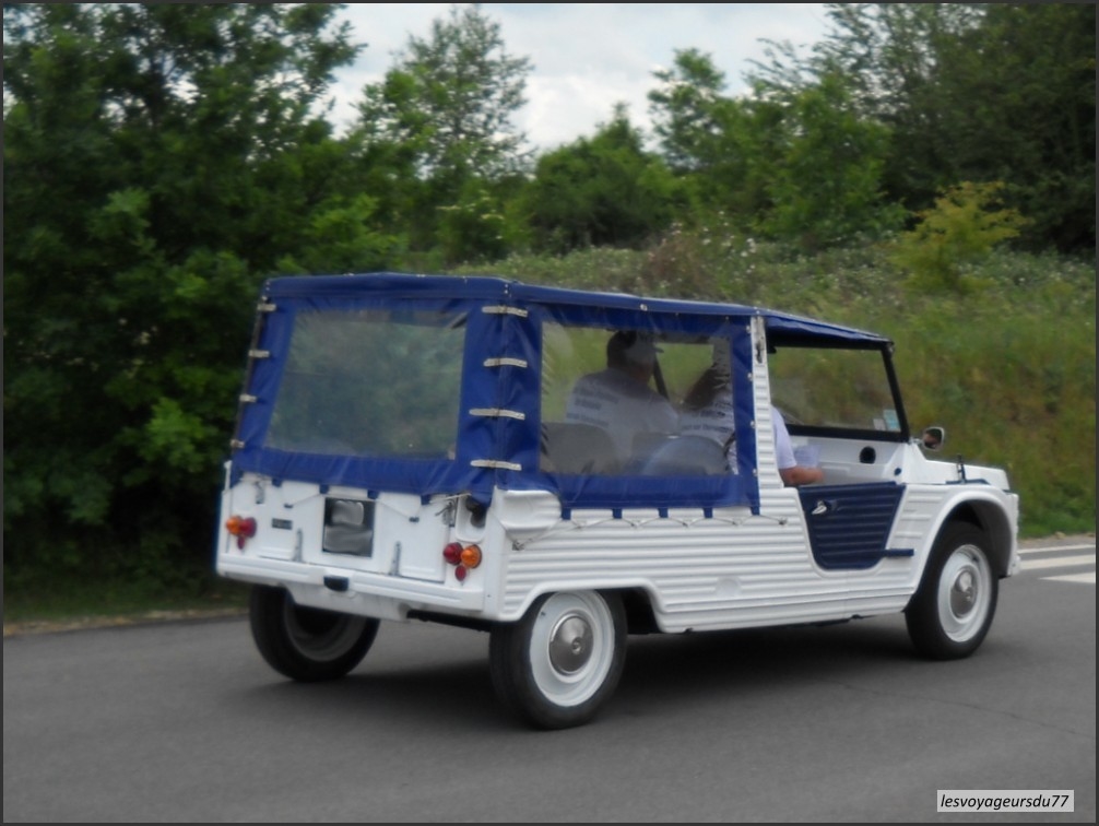 DSC_5640 (2) [1000X750].JPG