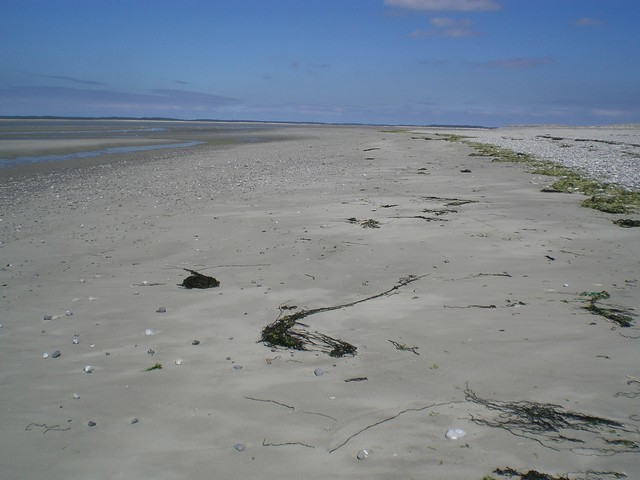 la plage à marée basse , au bout , la pointe du Hourdel et  la baie de Somme