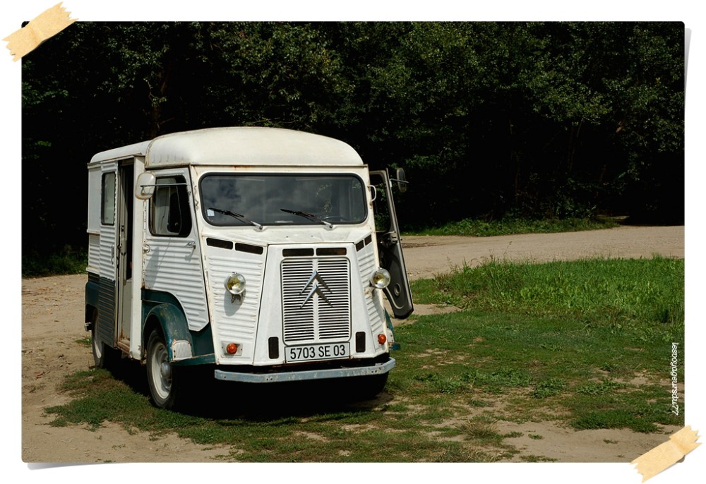 DSC_7526-1 [1000X750].JPG