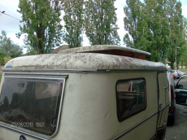 009 [640x480].JPG