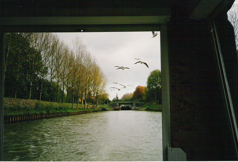124.jpg