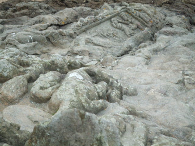 DSCF0439.JPG