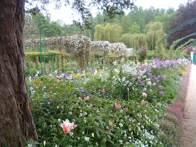 sortie lieurey Giverny 024.JPG