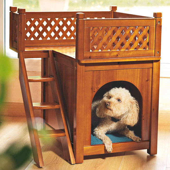 niche-a-chien-mezzanine-mdor-9531560.jpeg