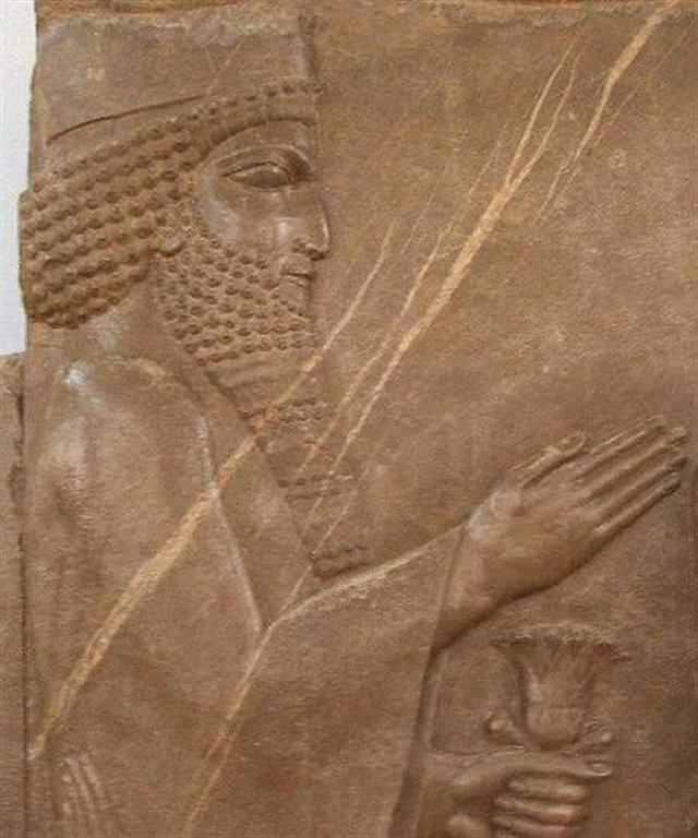 Xerxes (Large).jpg