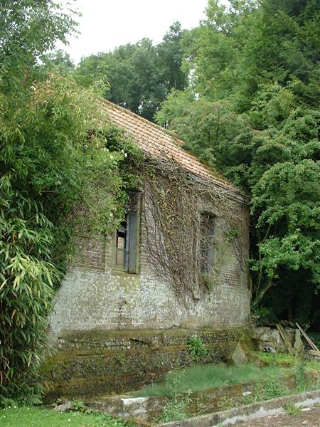 DSCF0030 (Medium).JPG