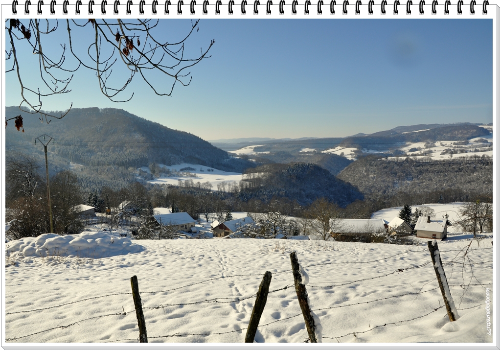 DSC_1567-1.jpg