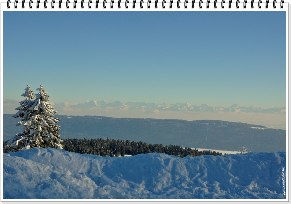 DSC_1644-1.jpg