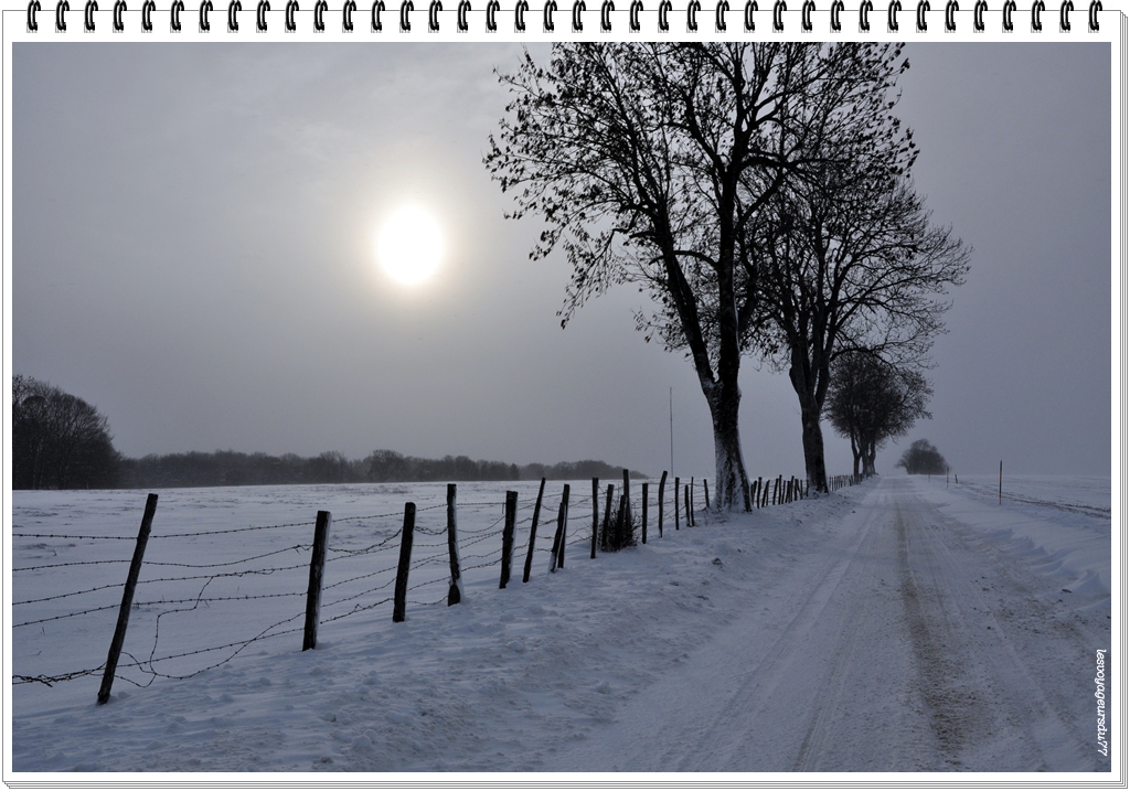 DSC_1920-1.jpg
