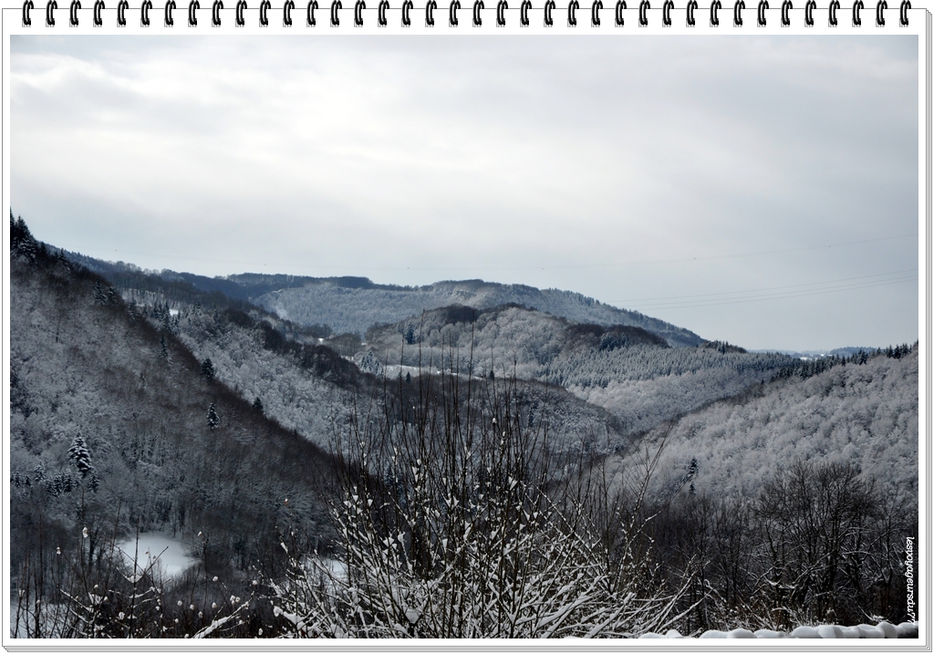 DSC_1969-1.jpg