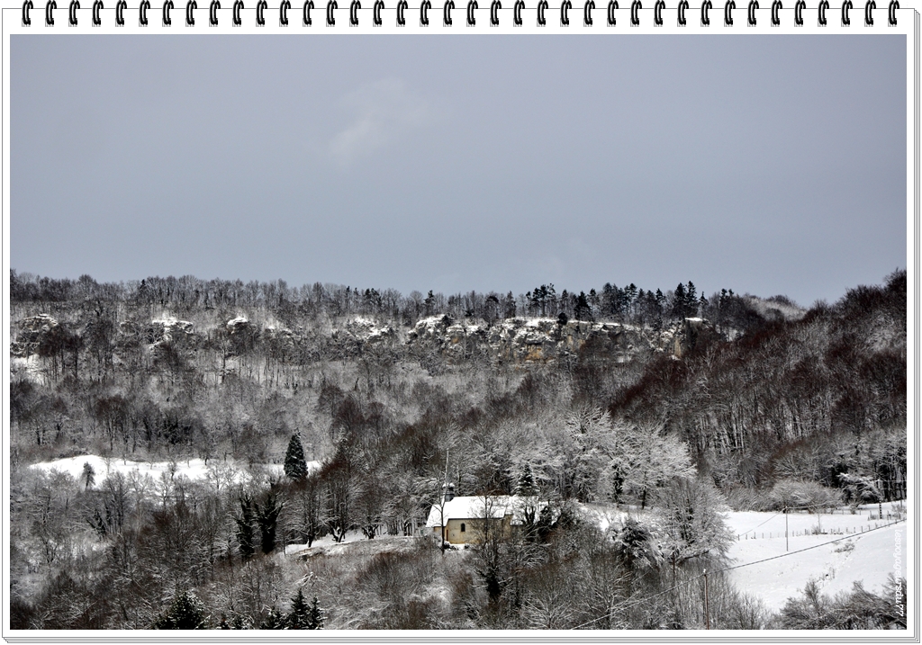 DSC_1972-1.jpg