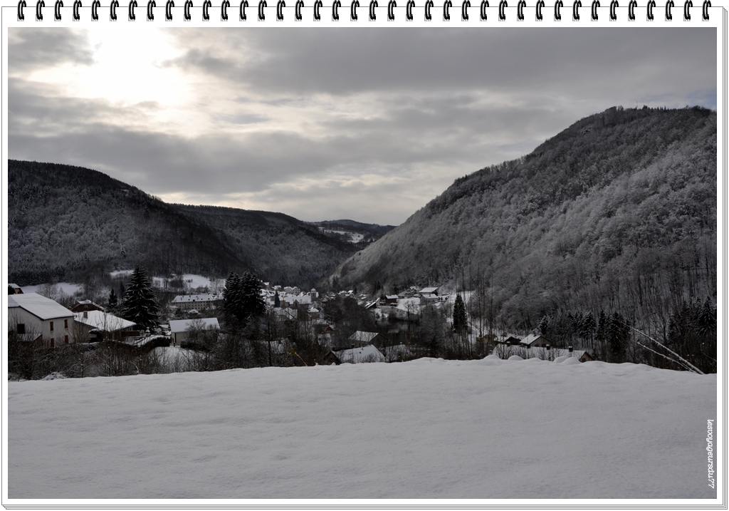 DSC_1975-1.jpg