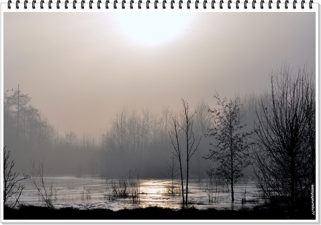 DSC_2397-2.jpg