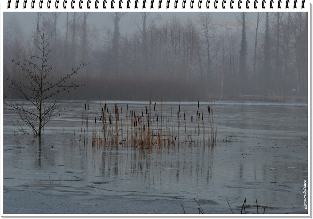 DSC_2402-1.jpg