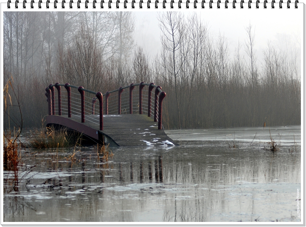 DSC_2401-1.jpg