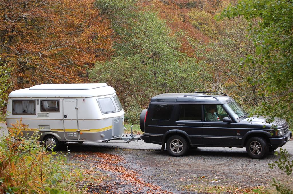 Octobre 2010 095 (Large).jpg