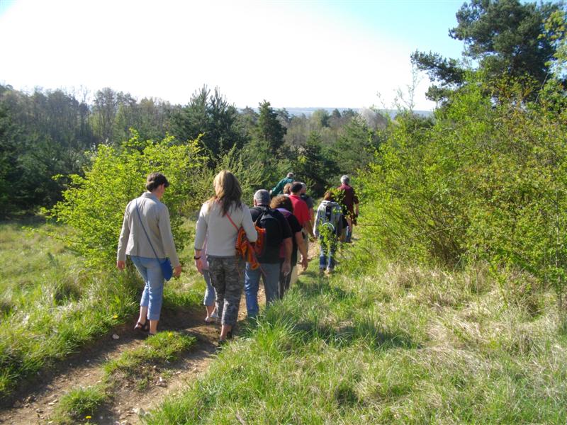 IMGP2573 (Medium).JPG