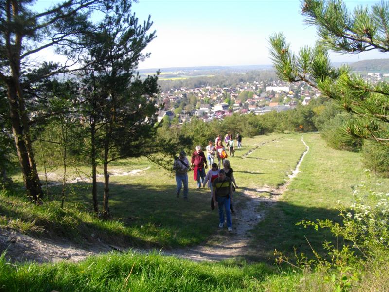 IMGP2575 (Medium).JPG