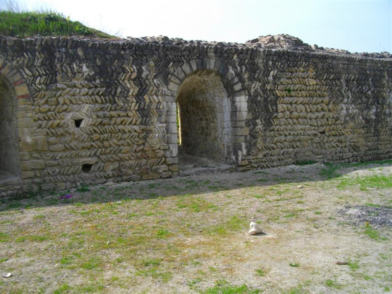 IMGP2595 (Medium).JPG