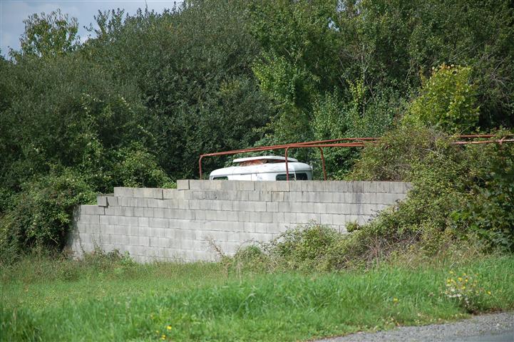 Roul (2).JPG