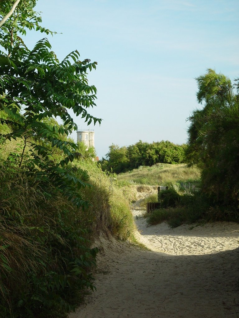 DSC01022.JPG
