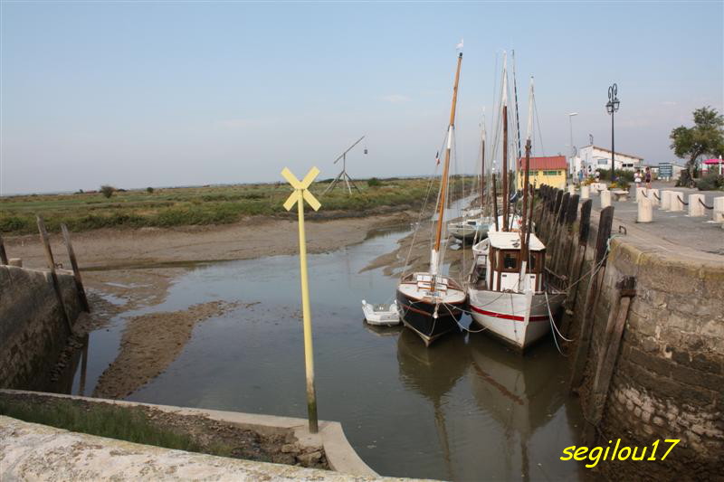 Situé dans la presqu'Ile d'Arvert, le petit port de Mornac sur Seudre