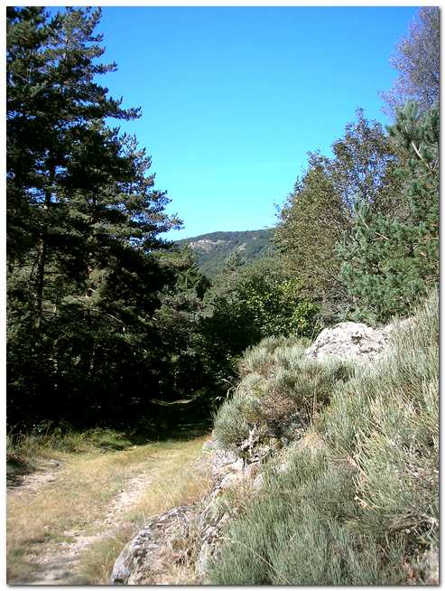 chemin_chambons.jpg