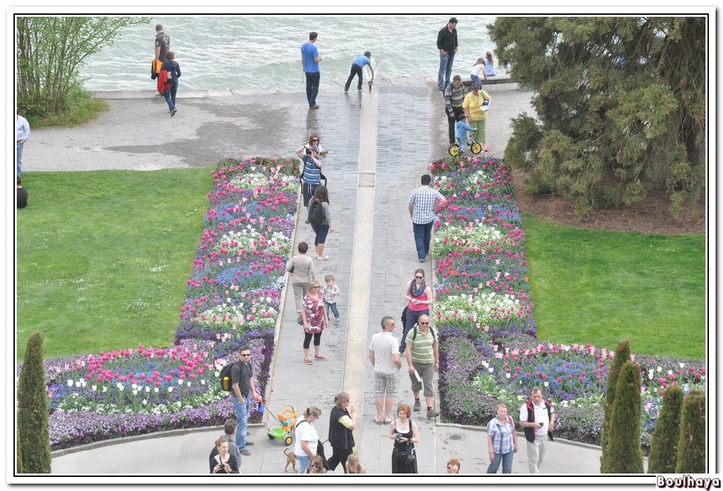 Mainau 1.jpg