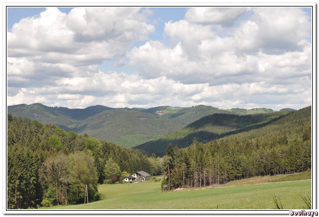 Waldviertel_1.JPG