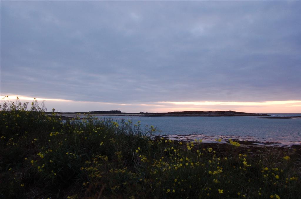 Bretagne L'Ile Grande (197) (Large).jpg