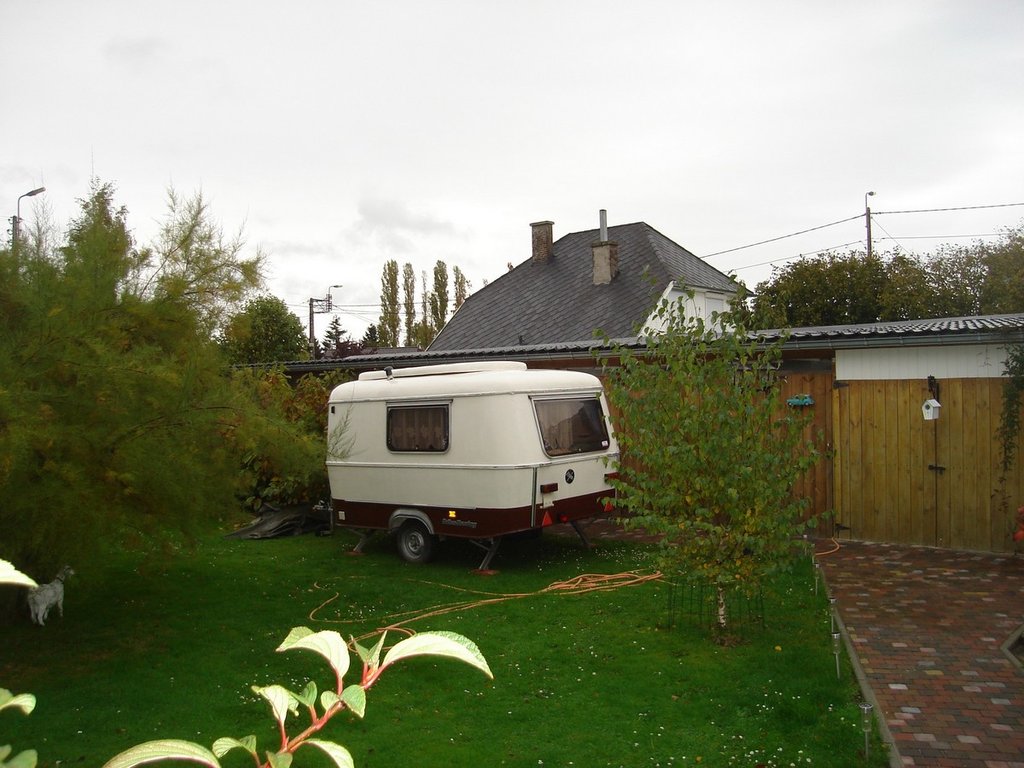 mes photos 0441.jpg