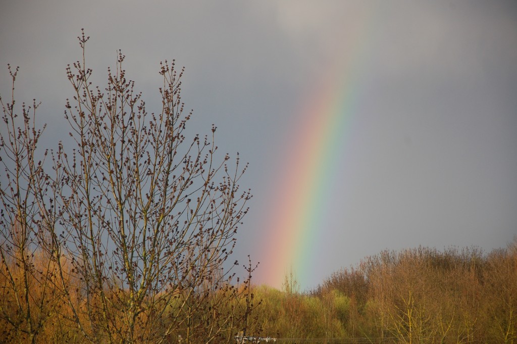 DSC_3297.JPG