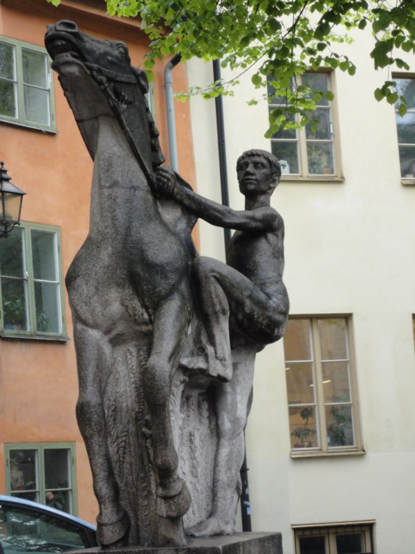 DSC04304 [800x600].jpg